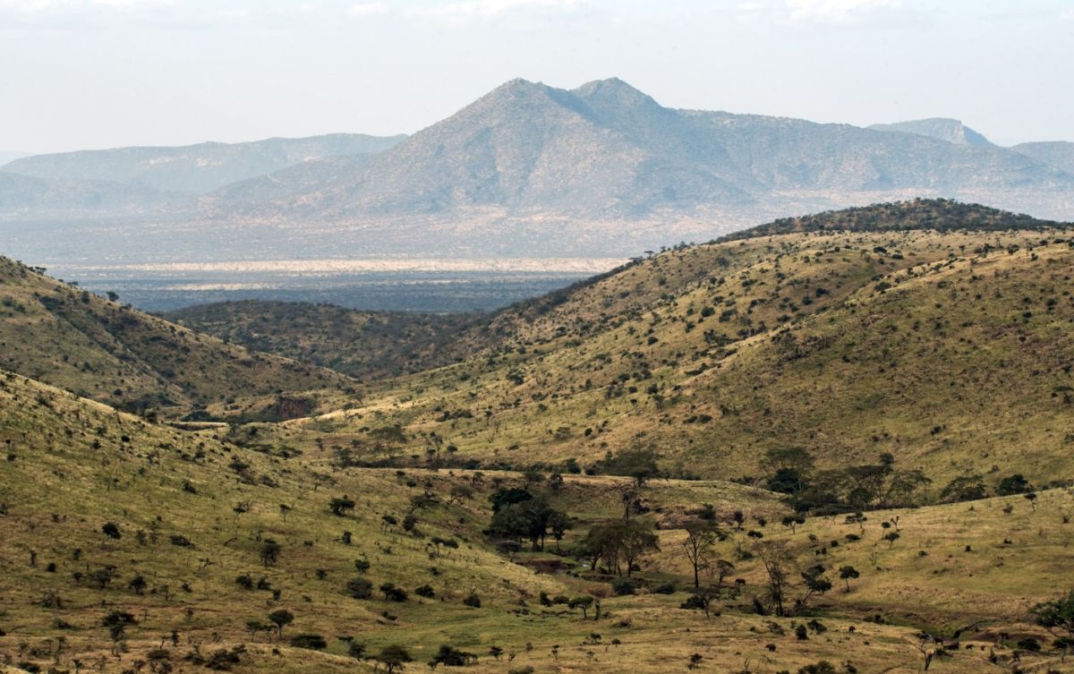 Walking Safari